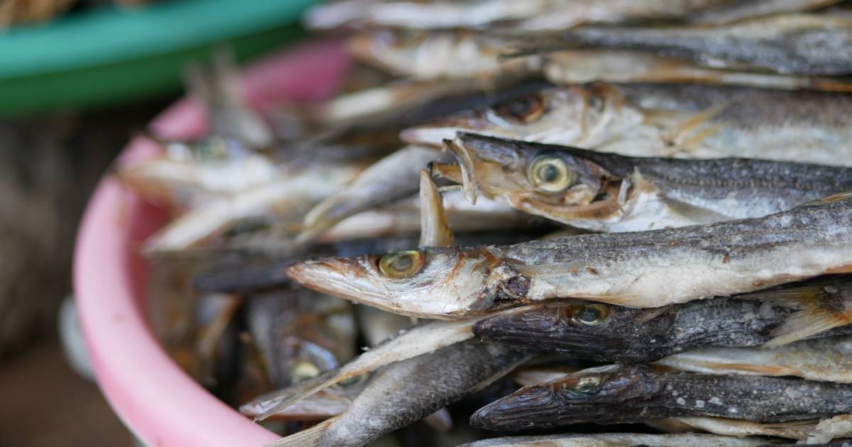 Naast Verlies Van Geur En Smaak Sommige Coronapatienten Melden Dat Alles Walgelijk Ruikt Zoals Vis En Rotte Eieren Buitenland Hln Be