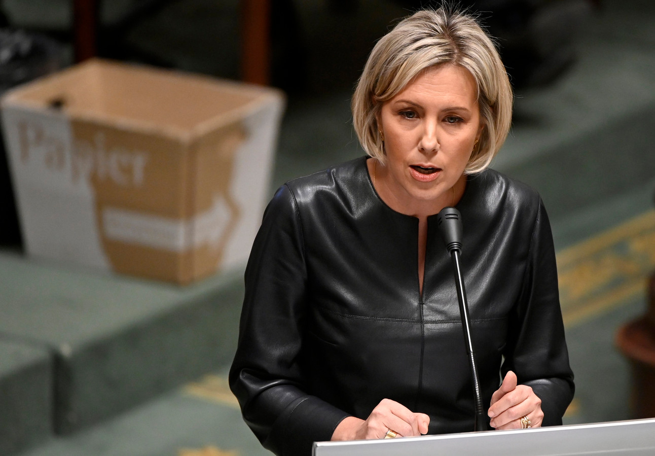 La ministre de la Défense Ludivine Dedonder.