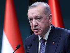 Ook Erdogan naar Kiev, wil bemiddelen in Oekraïne-crisis