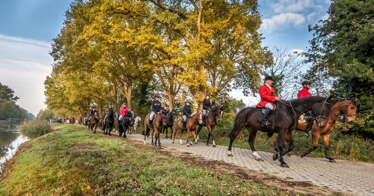 Hubertusrit Harbrinkhoek: te paard door natuur in stijl jachtrit