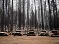 Nieuwe bosbrand in Californië legt op enkele dagen tijd al 215 kilometer in de as