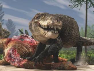 Gigantische krokodil had tanden zo groot als die van T. rex