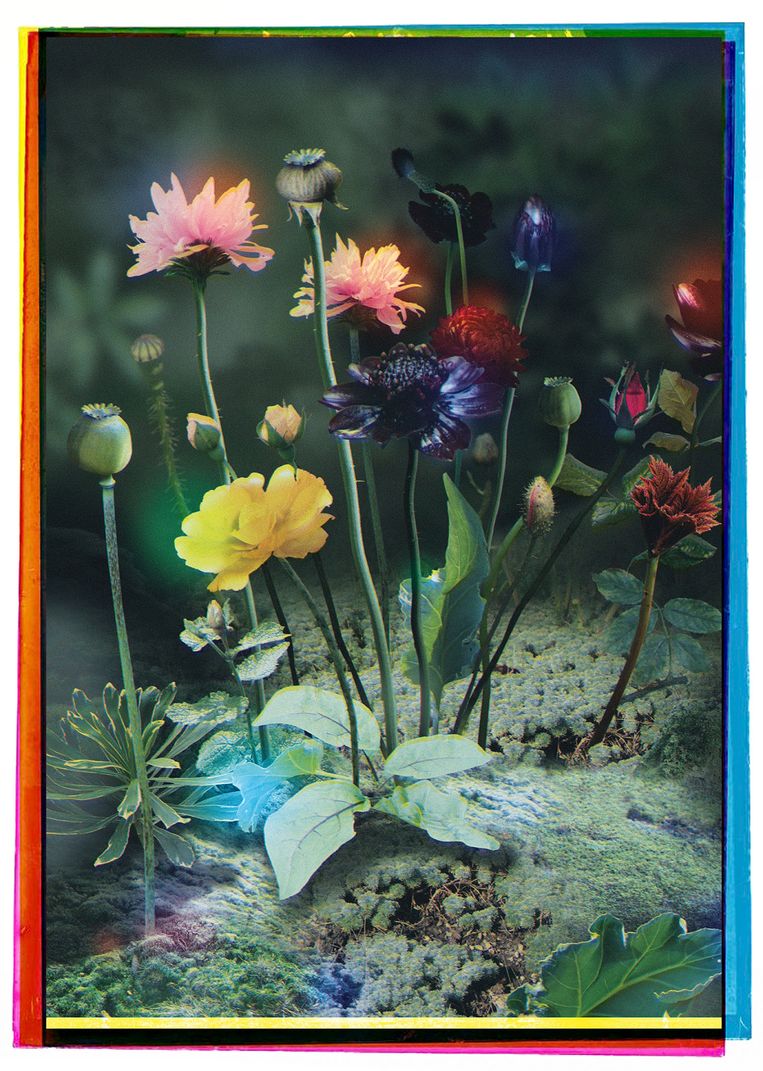 Van Gogh#7 Beeld Ruud van Empel