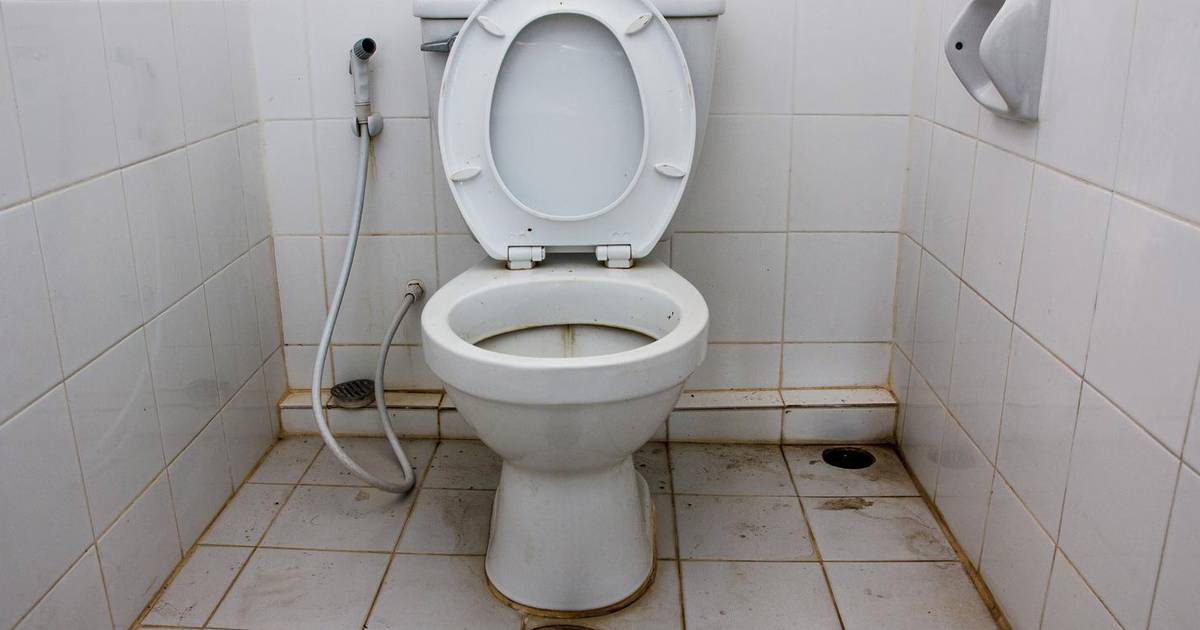 Plotselinge afdaling rijm Installeren Wat doen we verkeerd bij het schoonmaken van het toilet? | Bizar | AD.nl