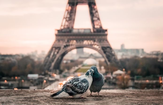 Parijs, Frankrijk.