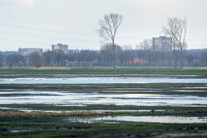 Lezing over plattelandsvernieuwing van Het Binnenveld