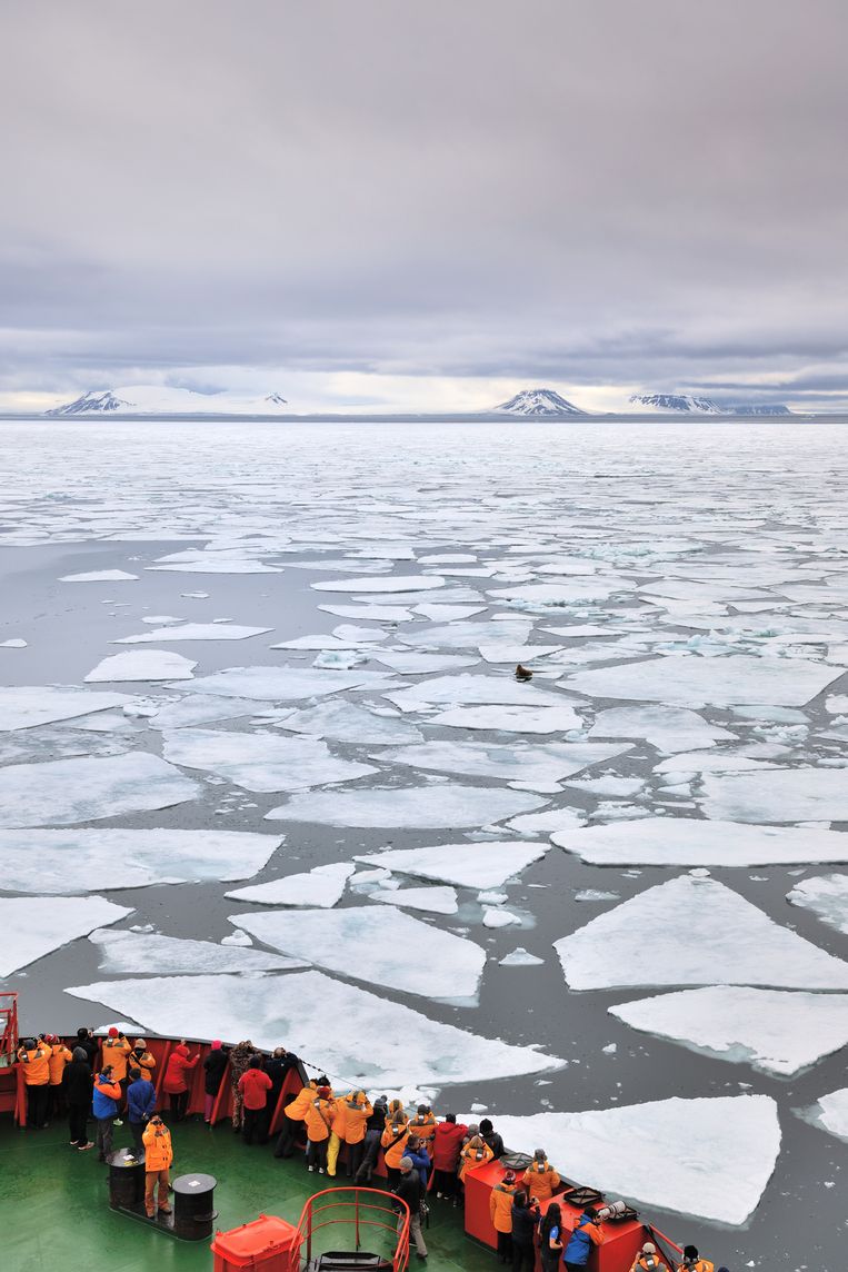 Drijvende stukken ijs nabij Franz Jozefland zijn de voorbode van wat komen zal: een permanent bevroren Arctische Oceaan. Beeld David De Vleeschauwer