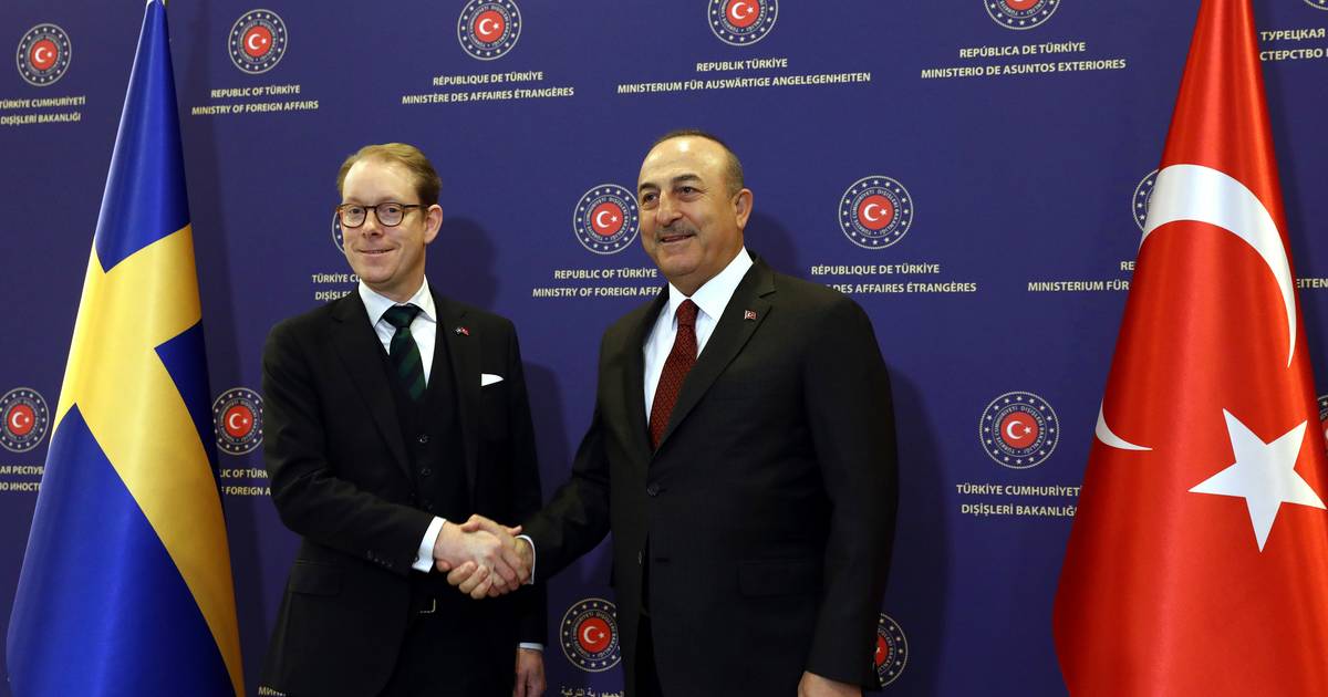 Турция должна сделать больше, чтобы стать членом НАТО |  за рубежом