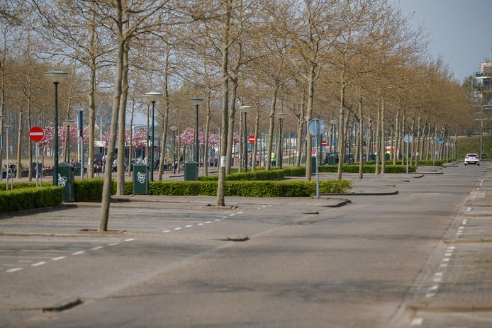 Volop plek om te parkeren. En dat mag weer!