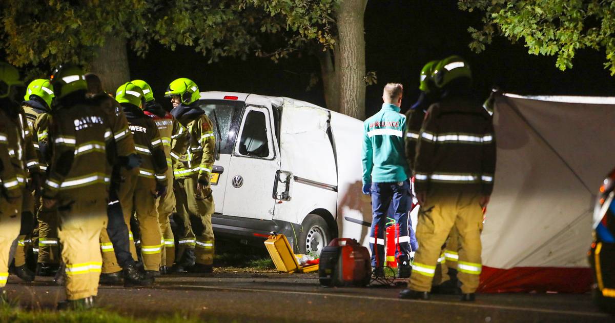 Bijrijder overlijdt bij ongeluk met bestelauto bij Harskamp, bestuurder ernstig gewond.