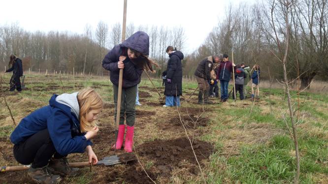 Vinderhoutse bossen opnieuw gegroeid, met dank aan de leerlingen van De Feniks