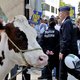 Melkveehouders staken en voeren actie in Wallonië