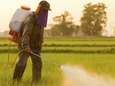 Verboden pesticiden in beek bij Vlaamse fruitboomgaarden