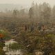 'Bosbranden Indonesië zorgen voor veel CO2-uitstoot'