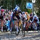 Waarom de grootste vedetten de Omloop links laten liggen