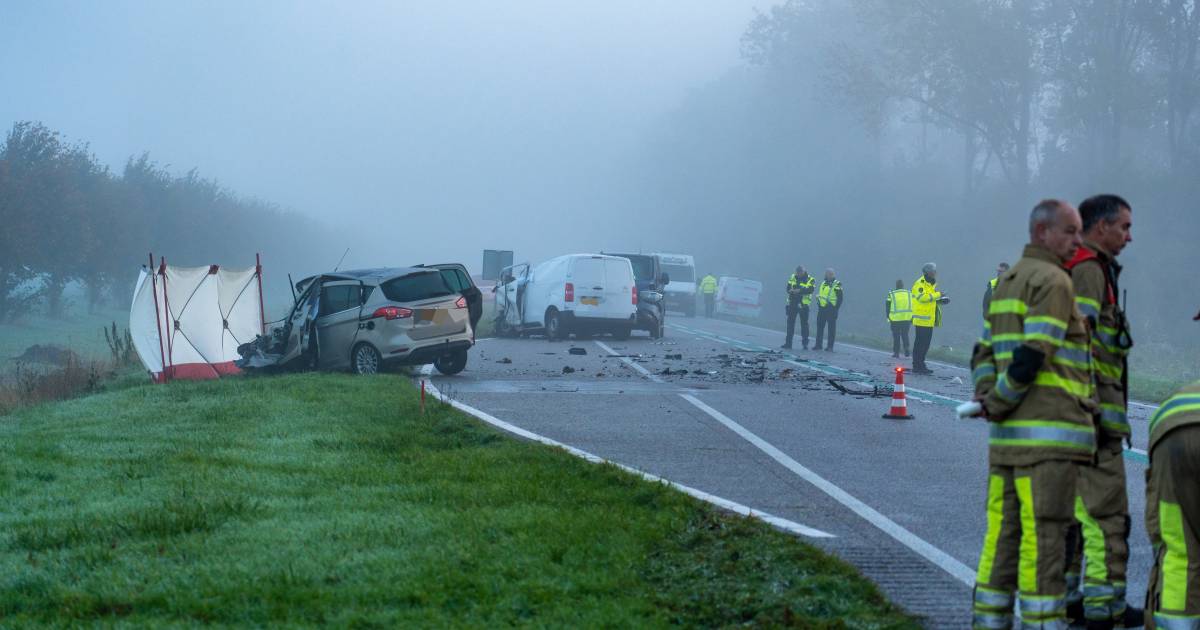 Dodelijk ongeluk bij Biddinghuizen: bestuurders auto en busje overleden.
