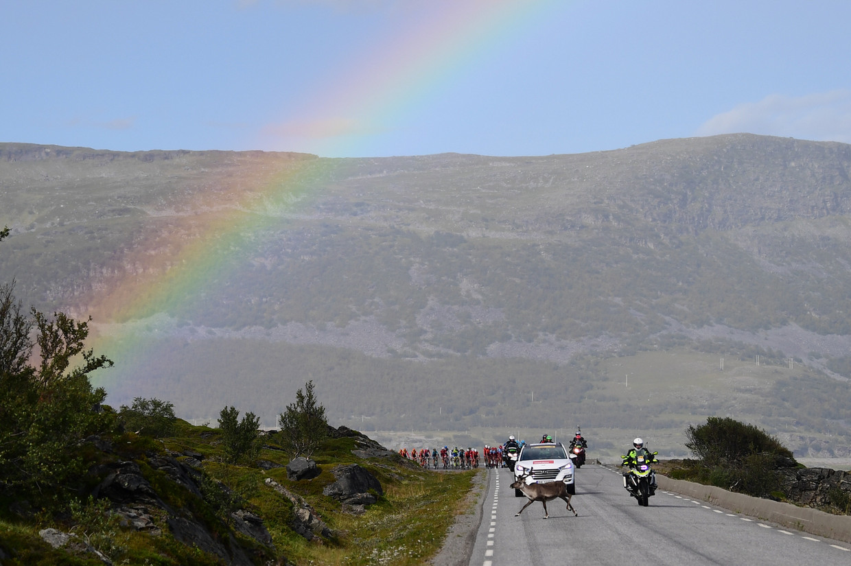 De Arctic Race in Noorwegen staat bekend om de pittoreske beelden. De auto die voor de koers uit rijdt is vanaf dit jaar elektrisch. Beeld ARN/Pauline Ballet