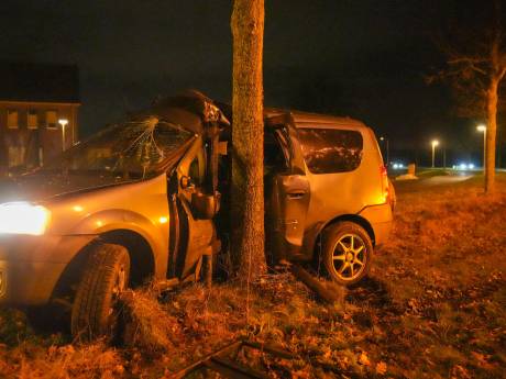 Veel schade na botsing tegen boom in Someren, man naar ziekenhuis