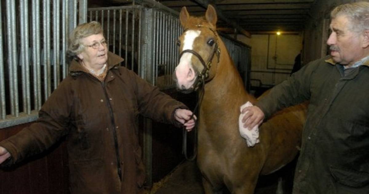Radewijker fokker van het jaar