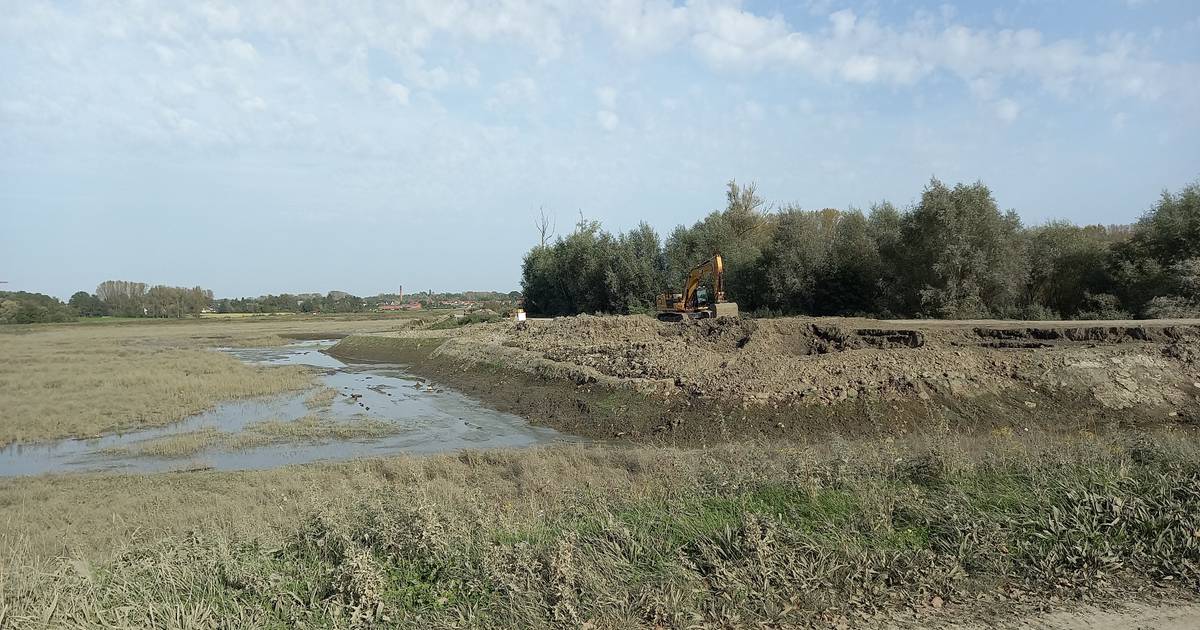 Vlaamse Waterweg brengt populatie knijten in Klein en Groot Broek in ...