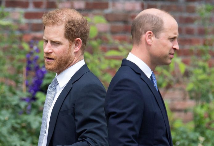 Harry en William tijdens de onthulling van Diana's standbeeld.