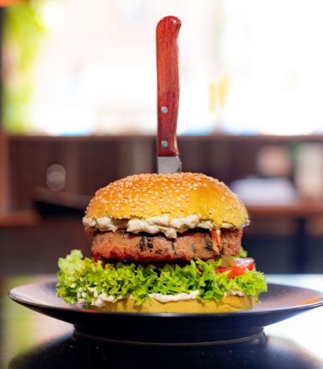 Europees Parlement wil verbod op benamingen als ‘vegaburger’ en ‘sojayoghurt’