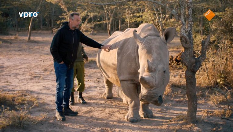 Fragment uit Reizen Waes. Beeld NPO