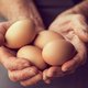 Hoeveel eieren per week zijn gezond voor je?