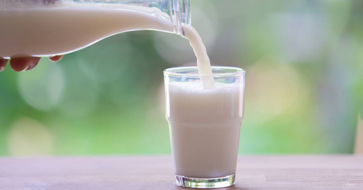 De Alternatieven Van Melk Ook Goed Voor Elk Koken Eten Ad Nl