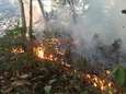 Alweer honderden nieuwe bosbranden in Amazonewoud, 44.000 militairen inzetbaar