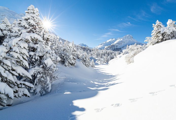 In de Alpen kan komend weekend tot meer dan een halve meter sneeuw vallen.