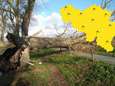Code geel afgeblazen: meer dan 100 meldingen over schade in Limburg