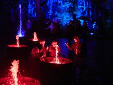 Groen licht voor nachtfestijn in Zypendaal: ‘Festival Grote Schijn veroorzaakt geen schade in park’