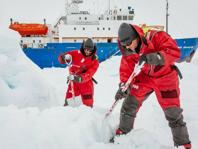 Resistente superbacteriën duiken zelfs op in Antarctica: “Tijd voor een globale oplossing”
