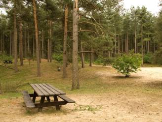 Gemeente plant natuurbegraafplaats aan Hoge Mouw