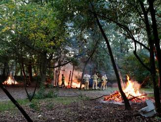 Boshut en houtstapels in brand in Overloons bos