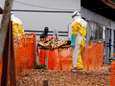 WHO: “Ebola verspreidt zich razendsnel in Congo”
