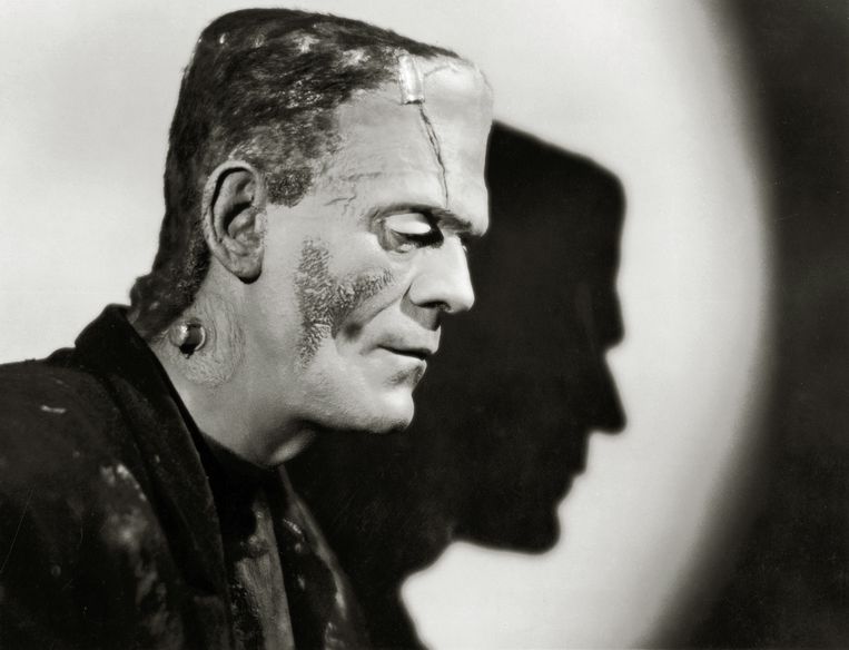 Brits-Canadees acteur William Henry Pratt. Beeld The Hollywood Archive