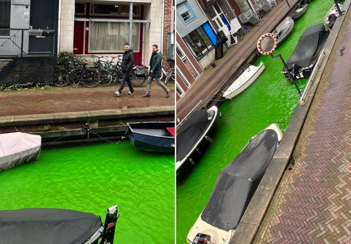 Amsterdamse gracht kleurt plotseling groen