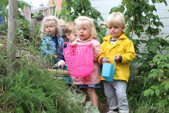 Kinderopvang Clara di Luna heeft eigen moes- en fruittuin waarin kinderen hun groenten en fruit zélf kweken en plukken. I-pads en televisie zijn er niet welkom