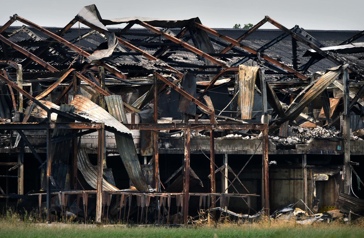 Bij de brand in de Knorhof lieten 20.000 varkens het leven. Beeld Marcel van den Bergh / de Volkskrant