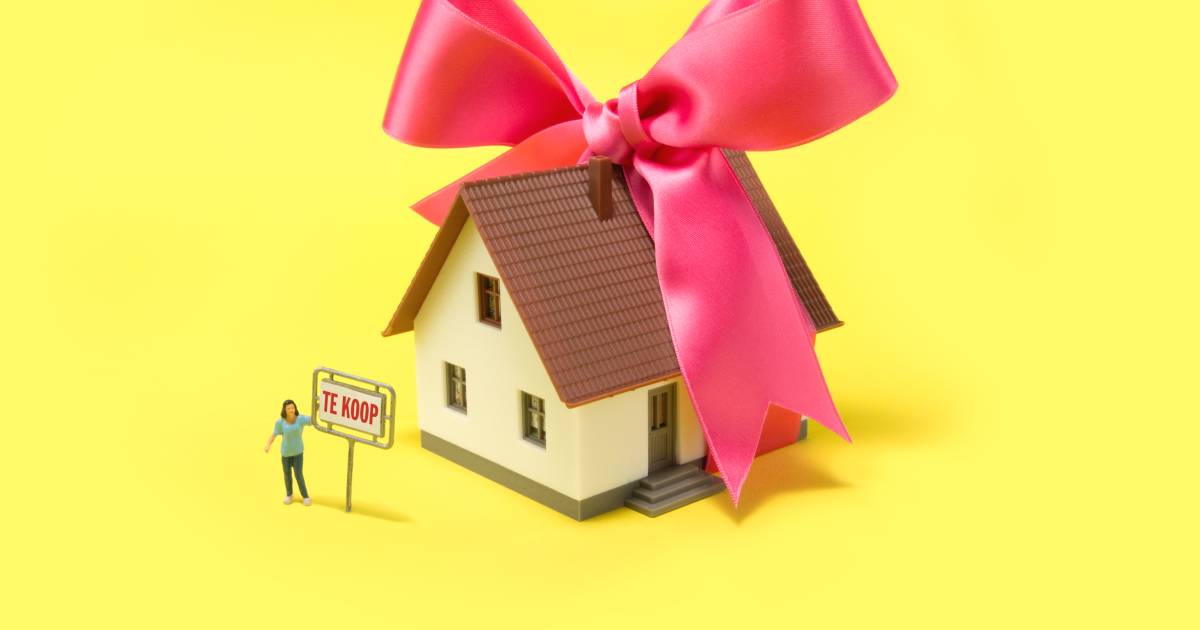 Spaans Me niezen Huis verkopen? Met deze tips heb je geen makelaar nodig | Economie | AD.nl