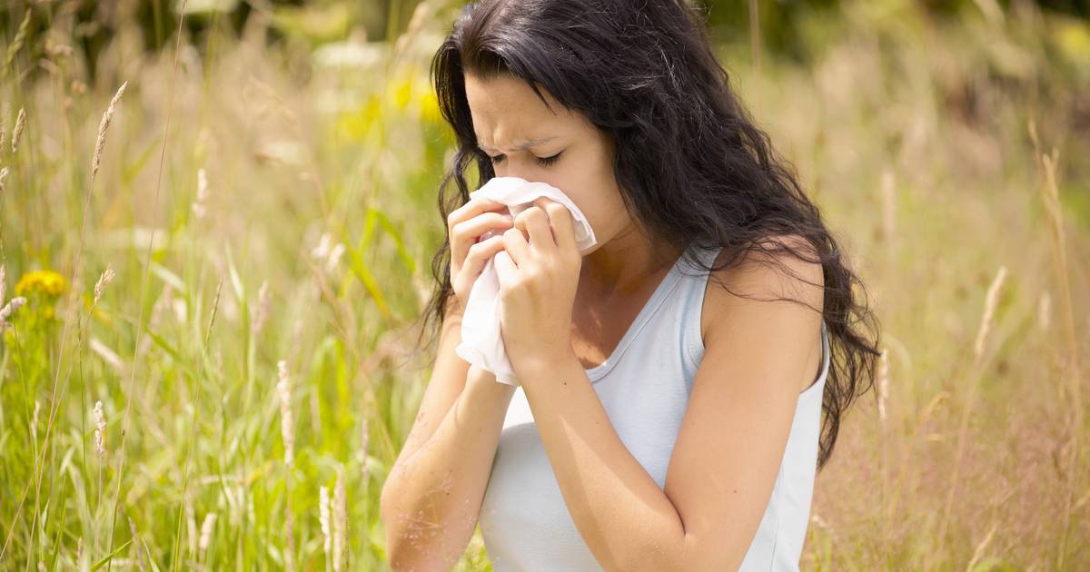 Cattive notizie per 1 milione di belgi che soffrono di raffreddore da fieno: inizia la stagione dei pollini di graminacee |  interno