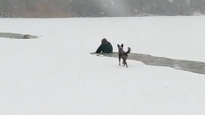 Moedige vrouw gaat door ijskoud water om hond te redden