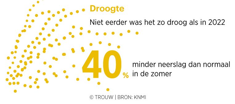 null Beeld Bart Friso