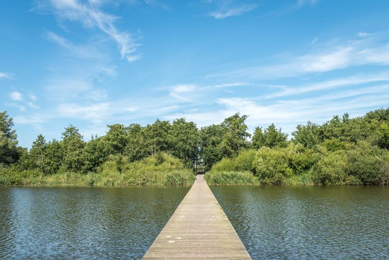 null Beeld Shutterstock/Erik Laan