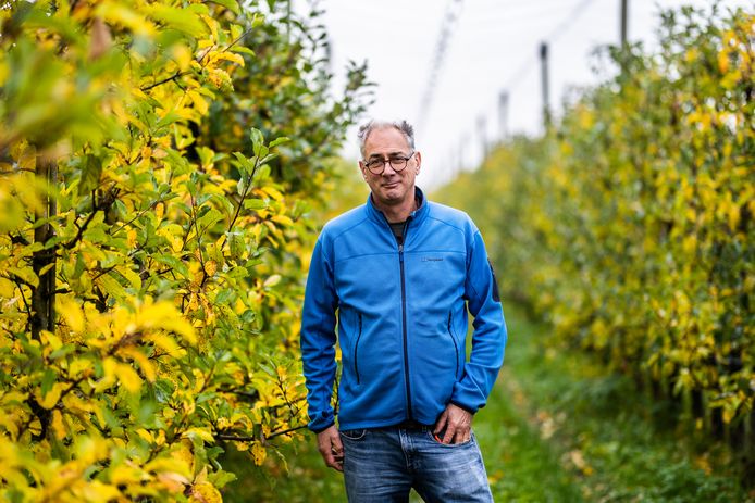Belangenclub fruittelers: ‘Ze voelen zich echt weggezet als gifspuiters ...