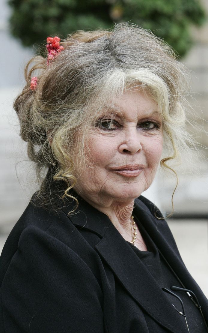 Brigitte Bardot prise en charge par les pompiers après des difficultés