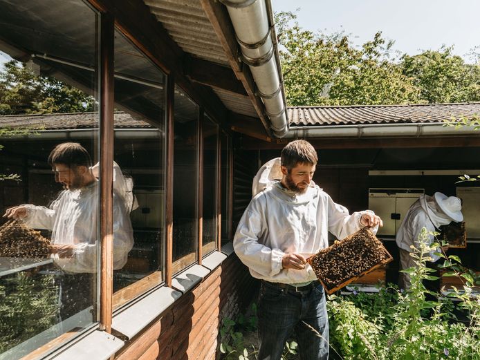 Olexiy Lyamtsev, een Oekraïense vluchteling, vond werk bij de UGent als imker.