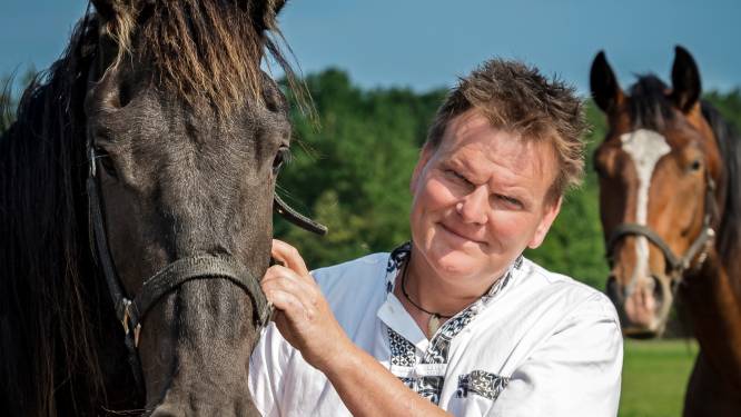 Sprankje hoop voor Enschedese paarden die dak- en thuisloos dreigen te worden